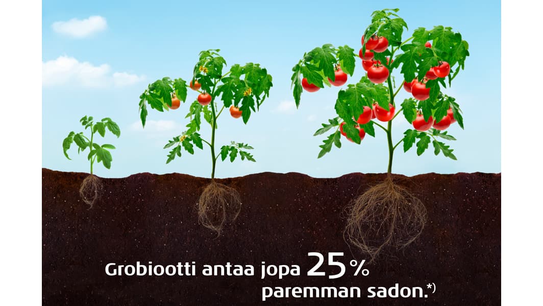 <p data-block-key="fgmzt">Mullassa olevat grobiootit muodostavat tukiverkoston juuriston ympärille.</p>