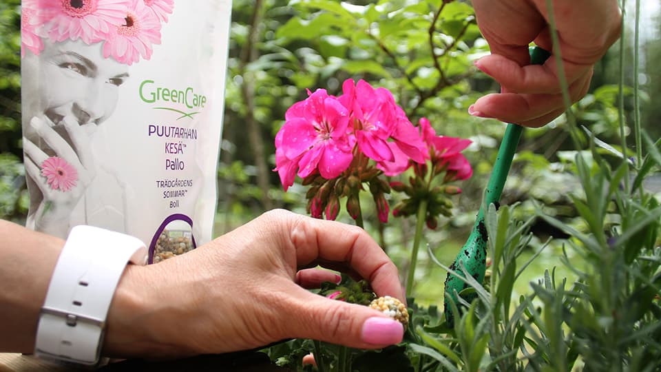 <p data-block-key="bbw91">GreenCare Puutarhan Kesä -lannoitepallot pitkäaikaiseen lannoittamiseen.</p>