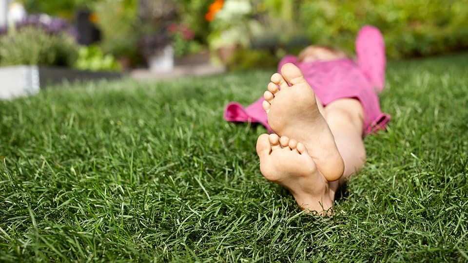 20186_53506.jpg