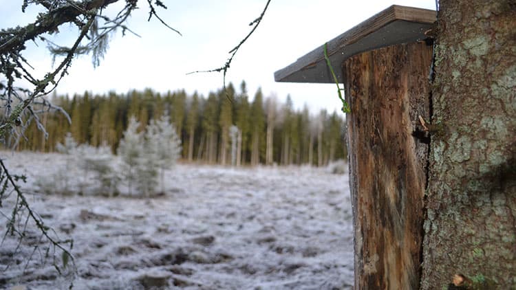 Rakennusohjeet pöllön ja lepakon pöntöille