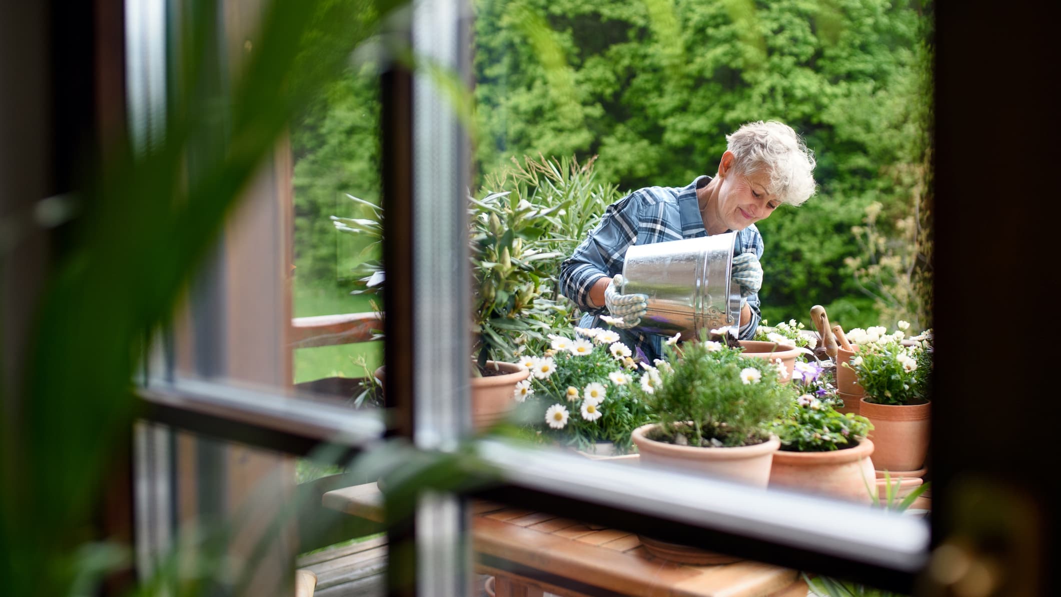 11 vinkkiä kauniin ruukkupuutarhan kasvattamiseen