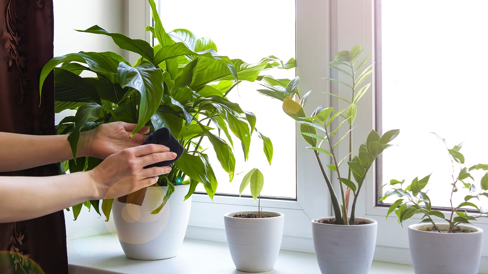 Ravinteikasta uutta multaa: Onko kasvisi jo herännyt? Näin hoidat sen kevätkuntoon