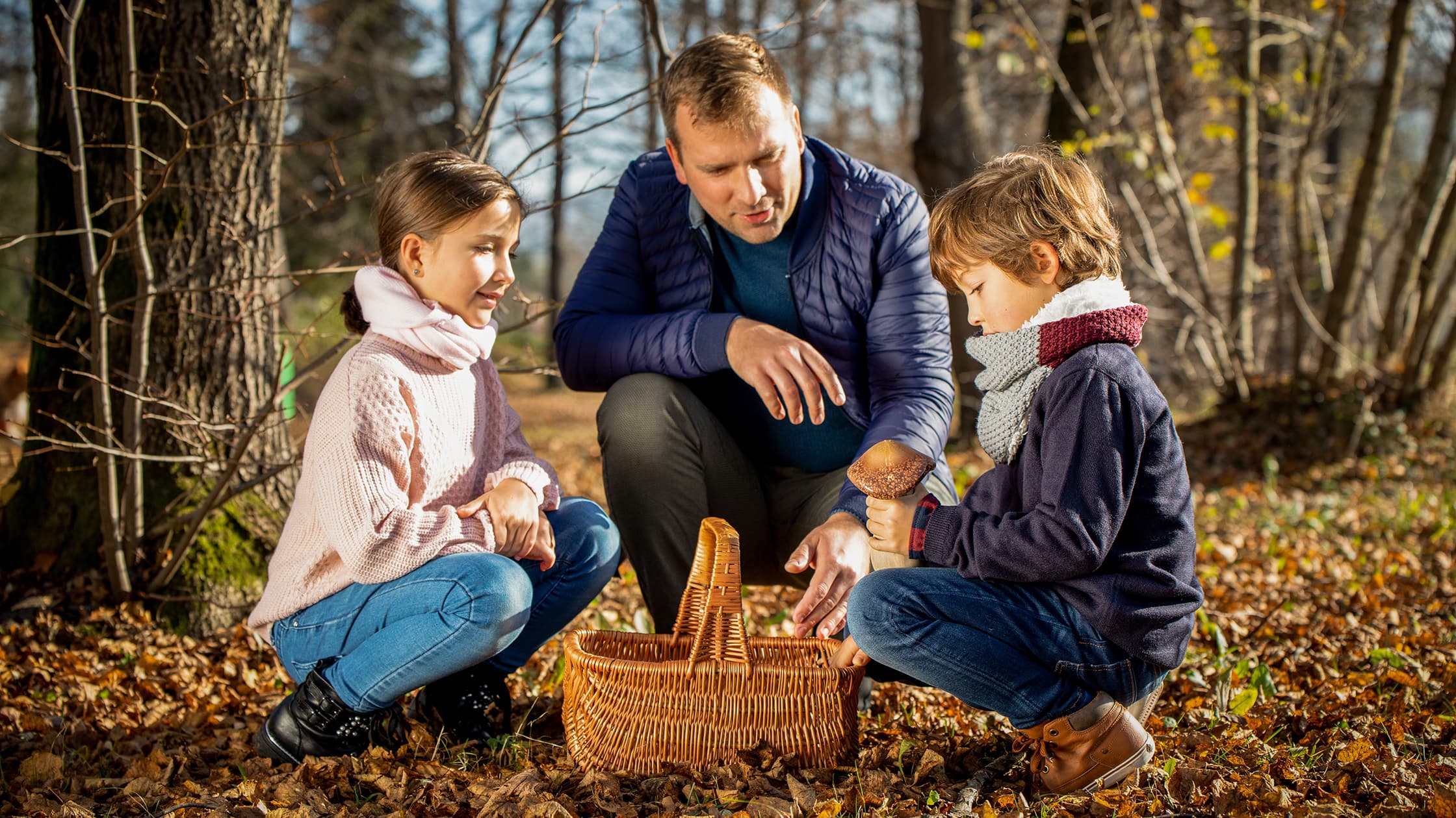 Myrkylliset sienet: Tunne sienet – myrkkysieniä ei kerätä lainkaan