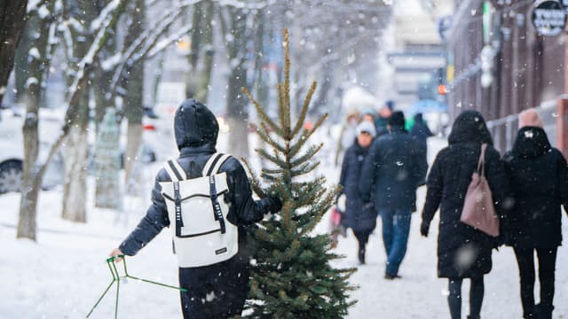 Ihmisiä kadulla, yhdellä kuusi mukanaan