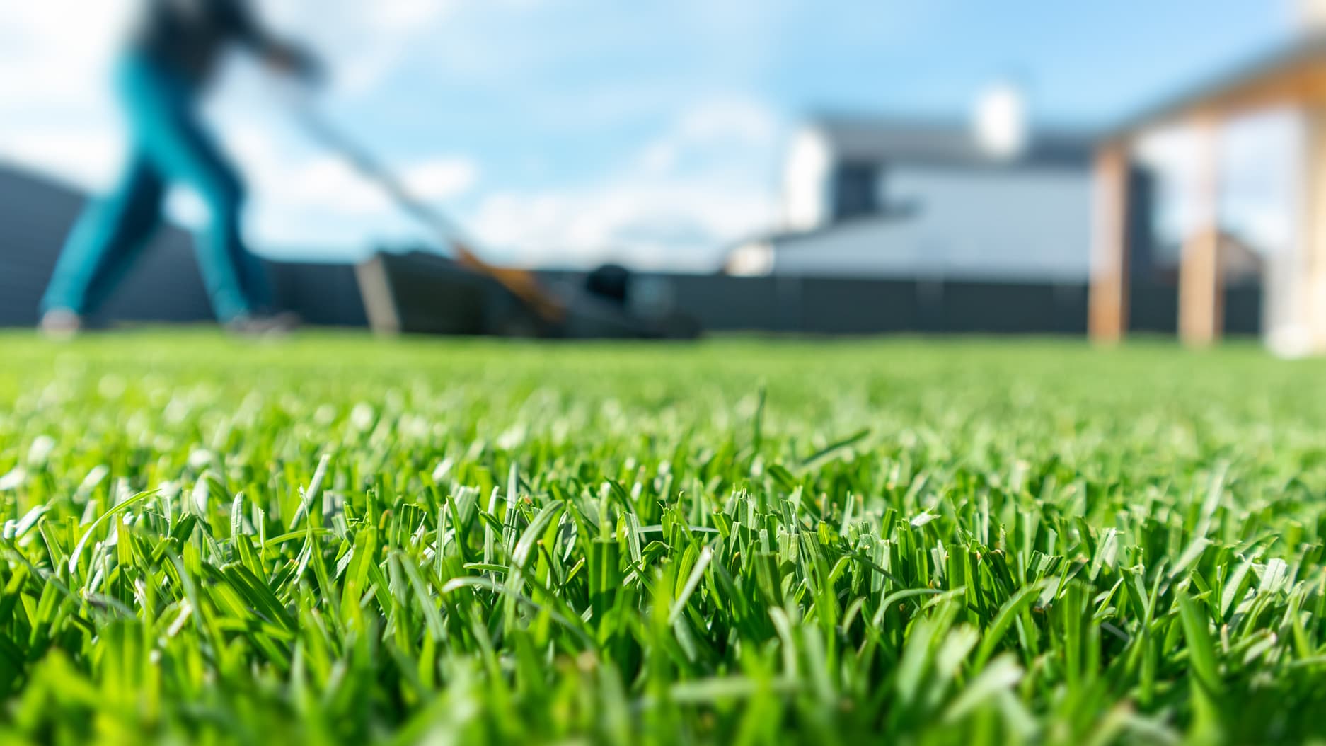 Kylvönurmikon perustaminen ja nurmikon hoito