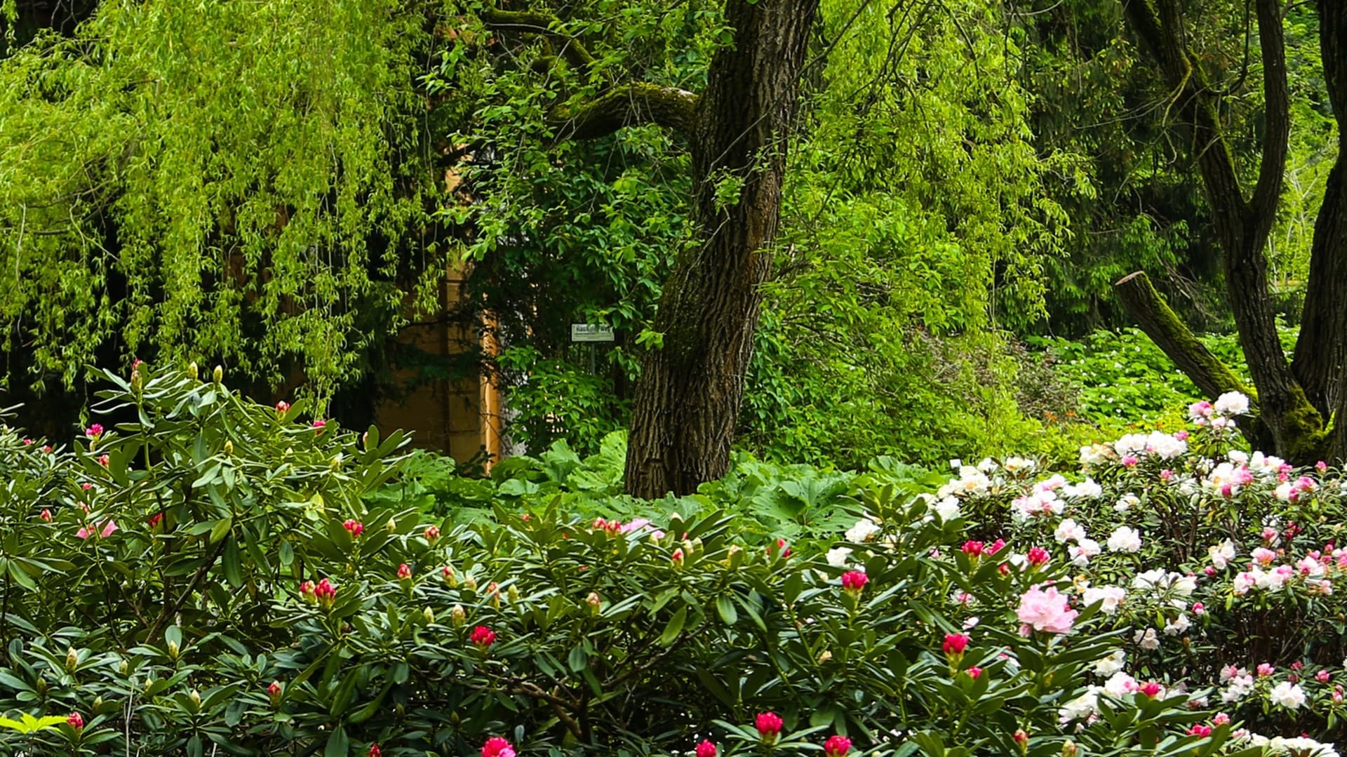 Kaunis puutarha kaikkina vuodenaikoina, osa 1/2