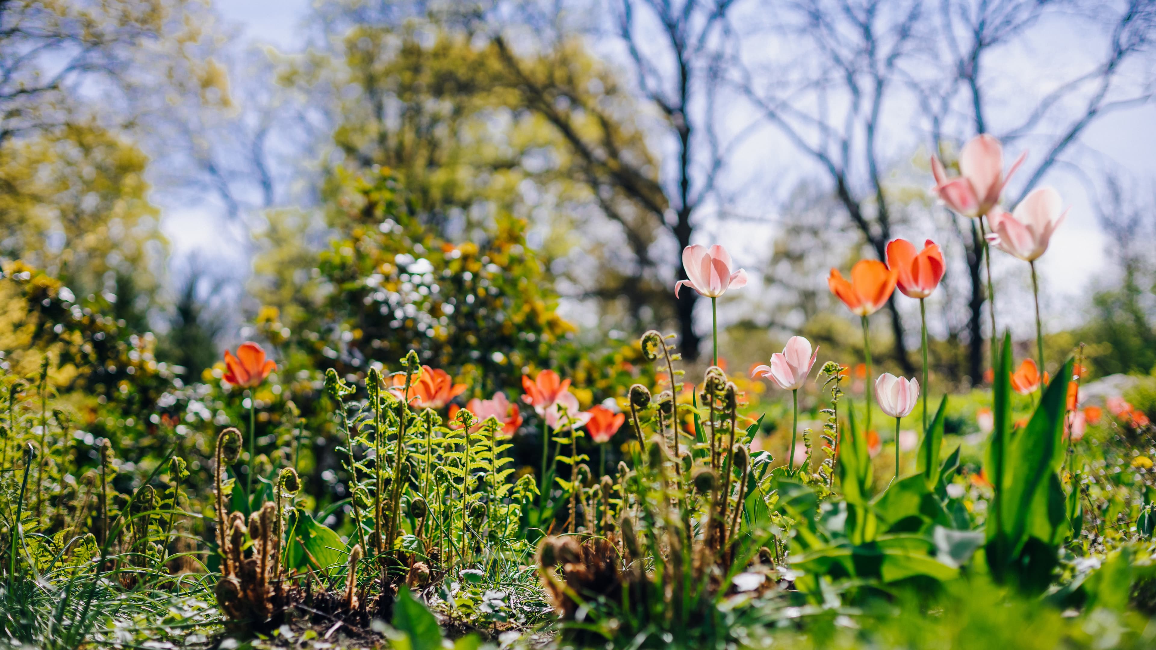Talvipuutarhan tehtävälista: suunnittele ja rakenna kasvuvoimaa tulevalle kaudelle