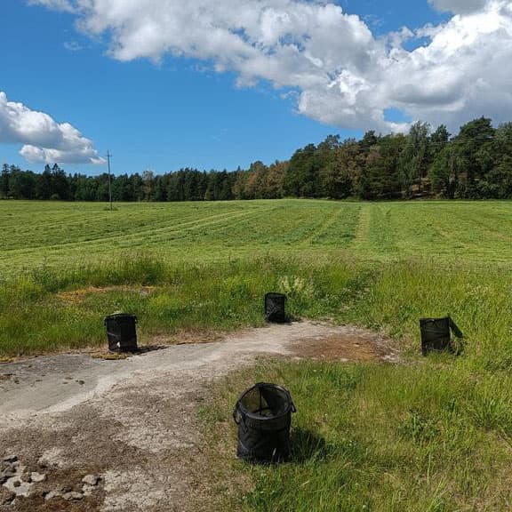 <p data-block-key="0f7hv">Kimalaiset vapautettiin kantohäkeistä kilometrin päässä pesistä. </p>