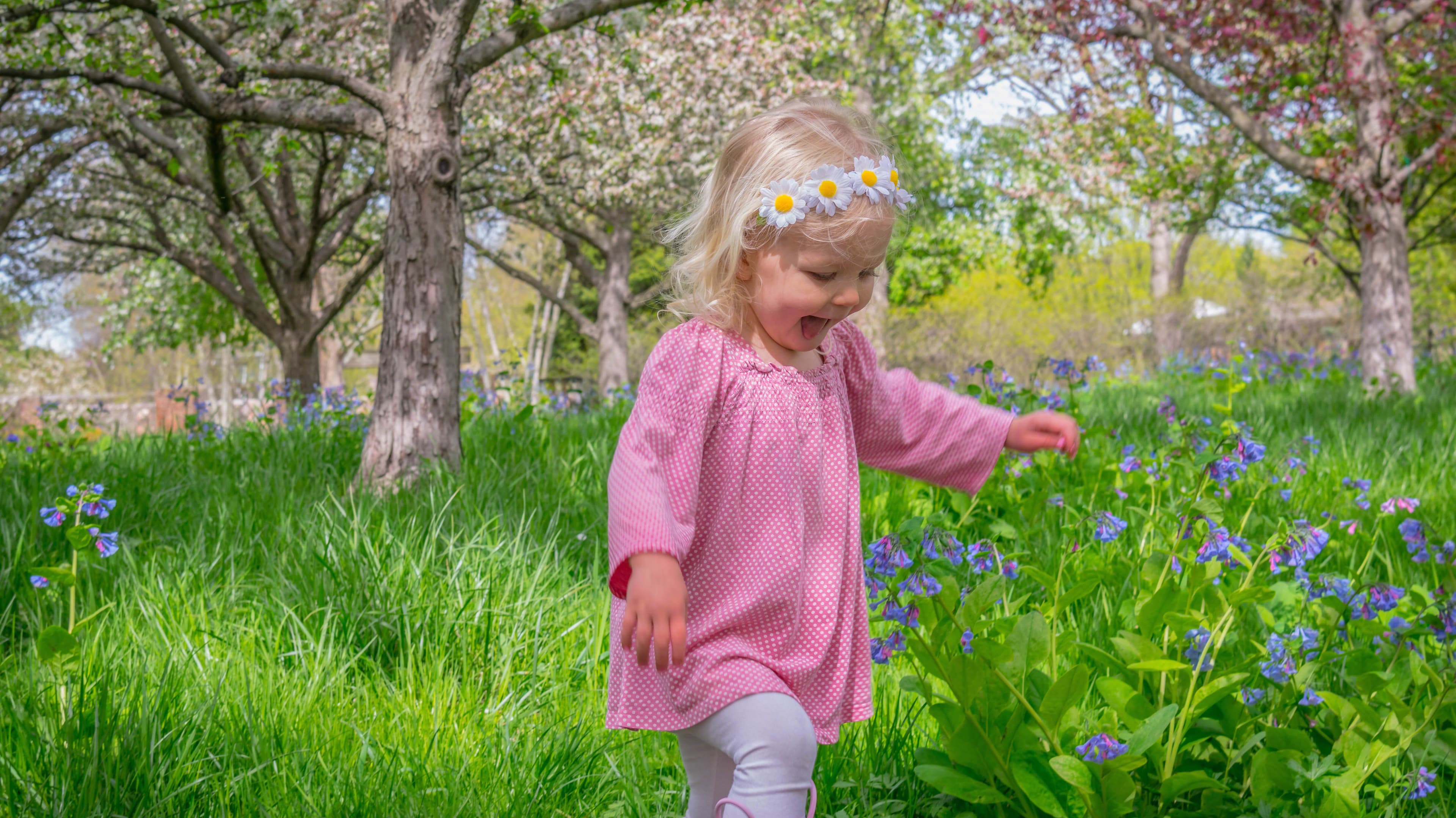 Maksuton Puutarha.net jäsenyys – apua kasvivalintoihin ja puutarhan hoitoon