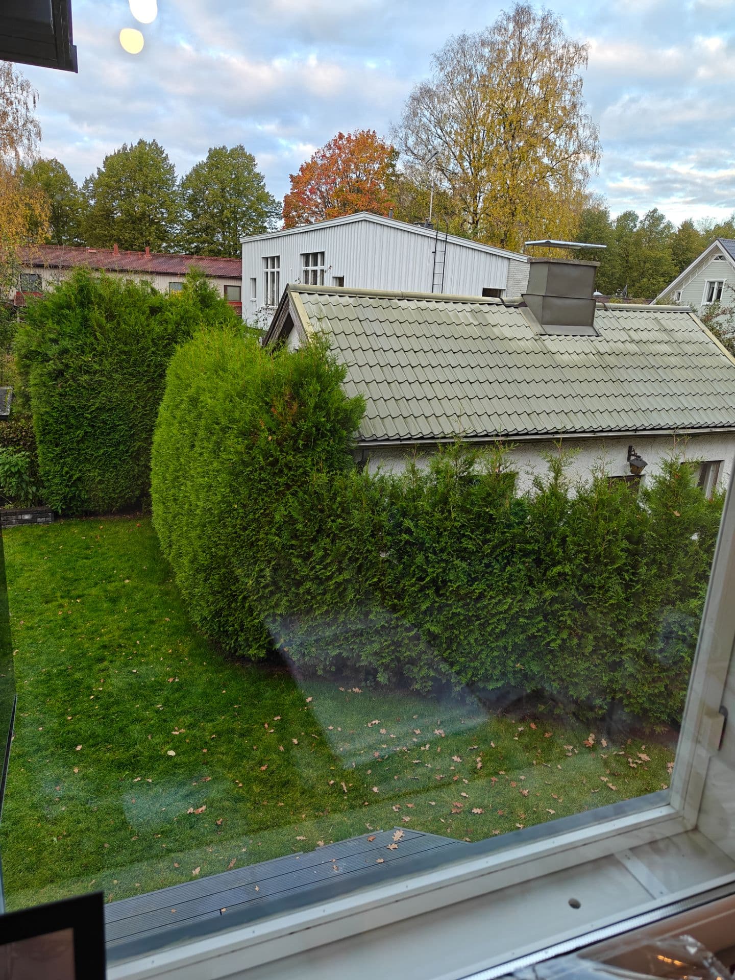 IMG20261013083445.jpg