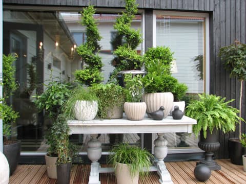 Vaasan asuntomessujen piharuukkuja