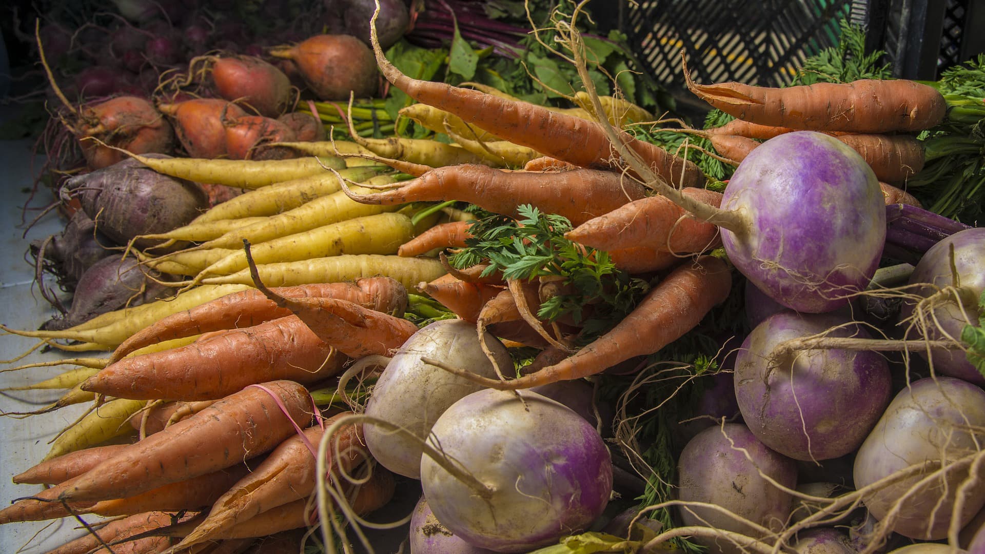 Sadonkorjuun ajoitus syksyllä – milloin vihannekset ovat parhaimmillaan?