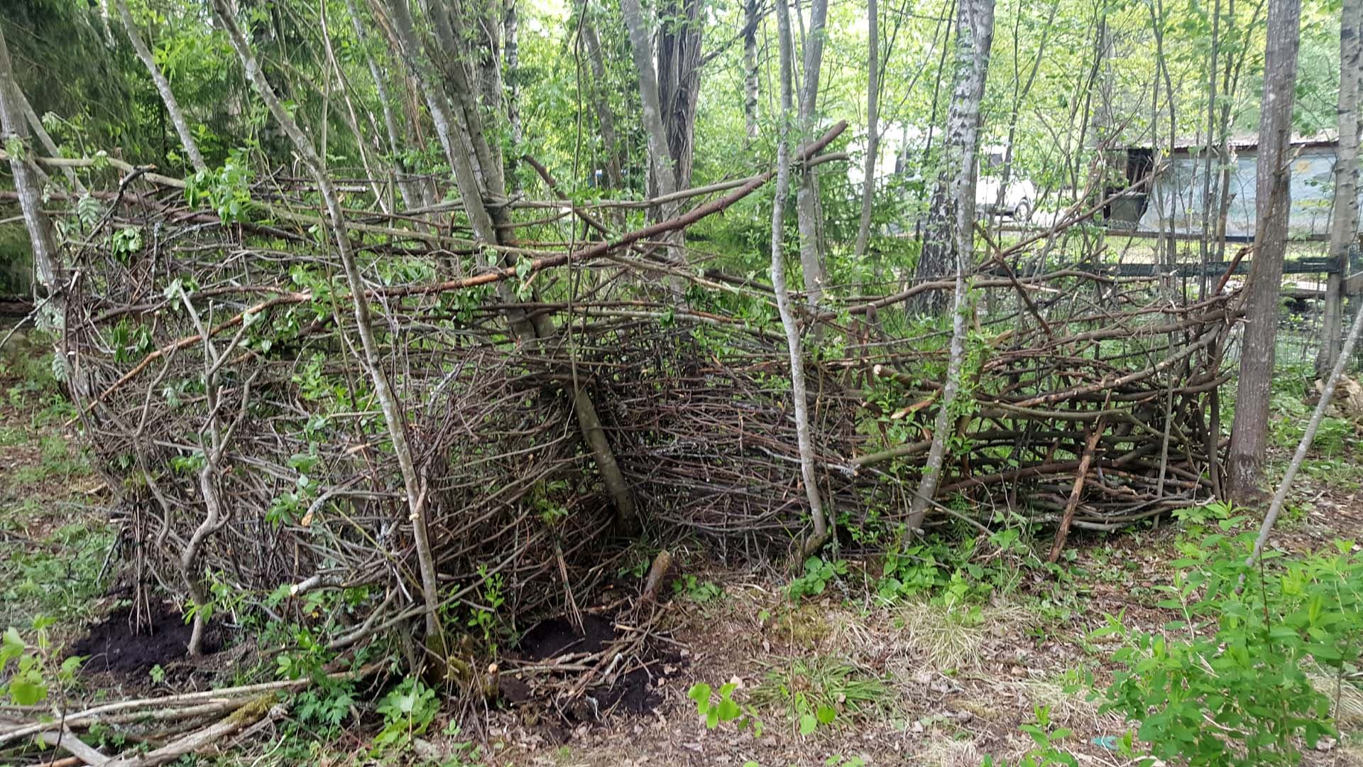 Risut uudelleen käyttöön – ekologinen ratkaisu pihaasi kaunistamaan