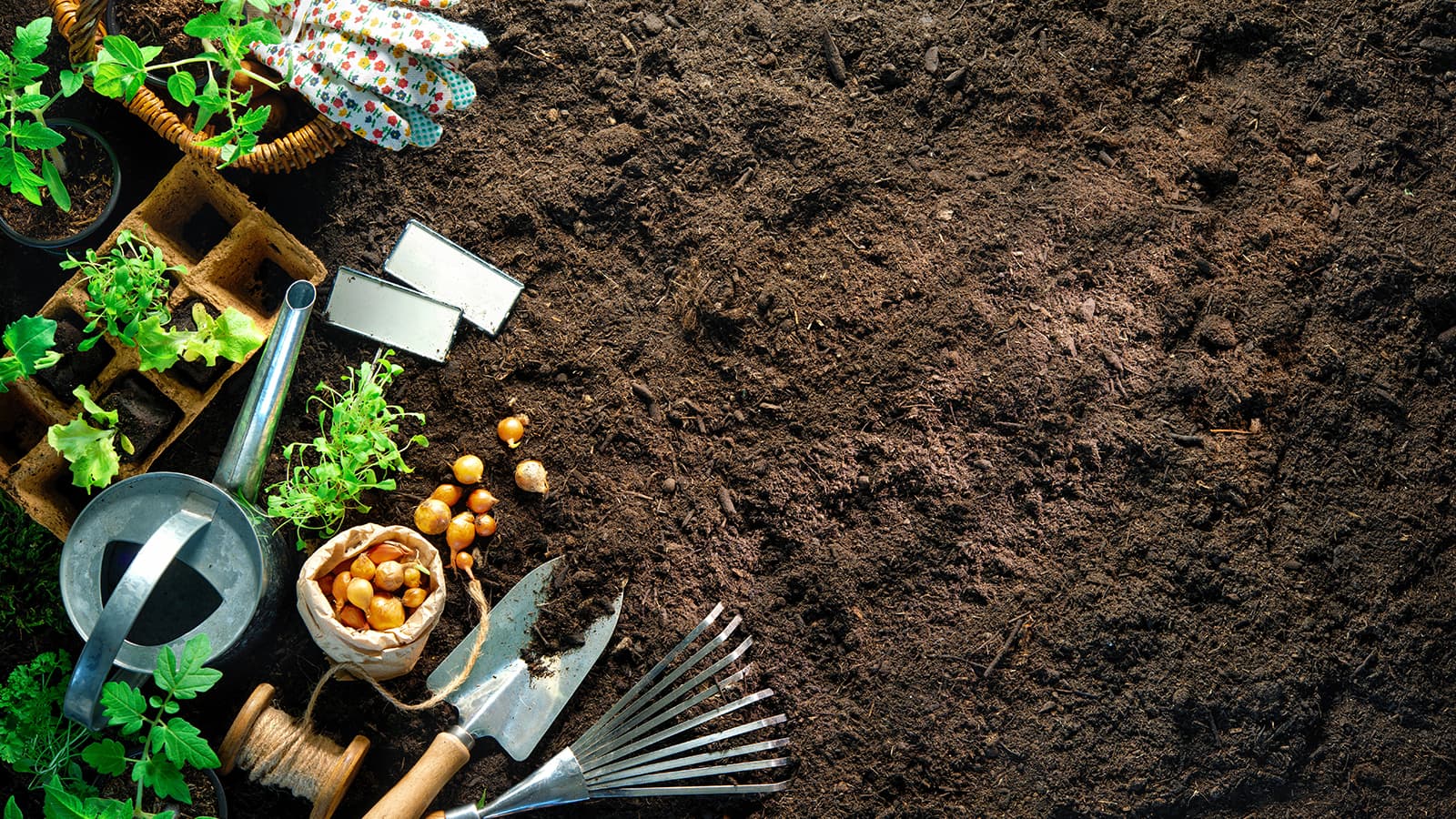 Kasvien menestyminen alkaa mullasta