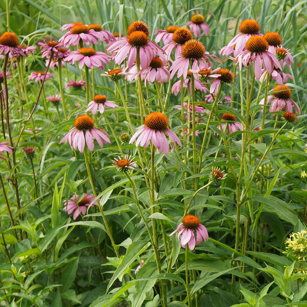 <p data-block-key="k2sss">(Kuva: Shutterstock)</p>