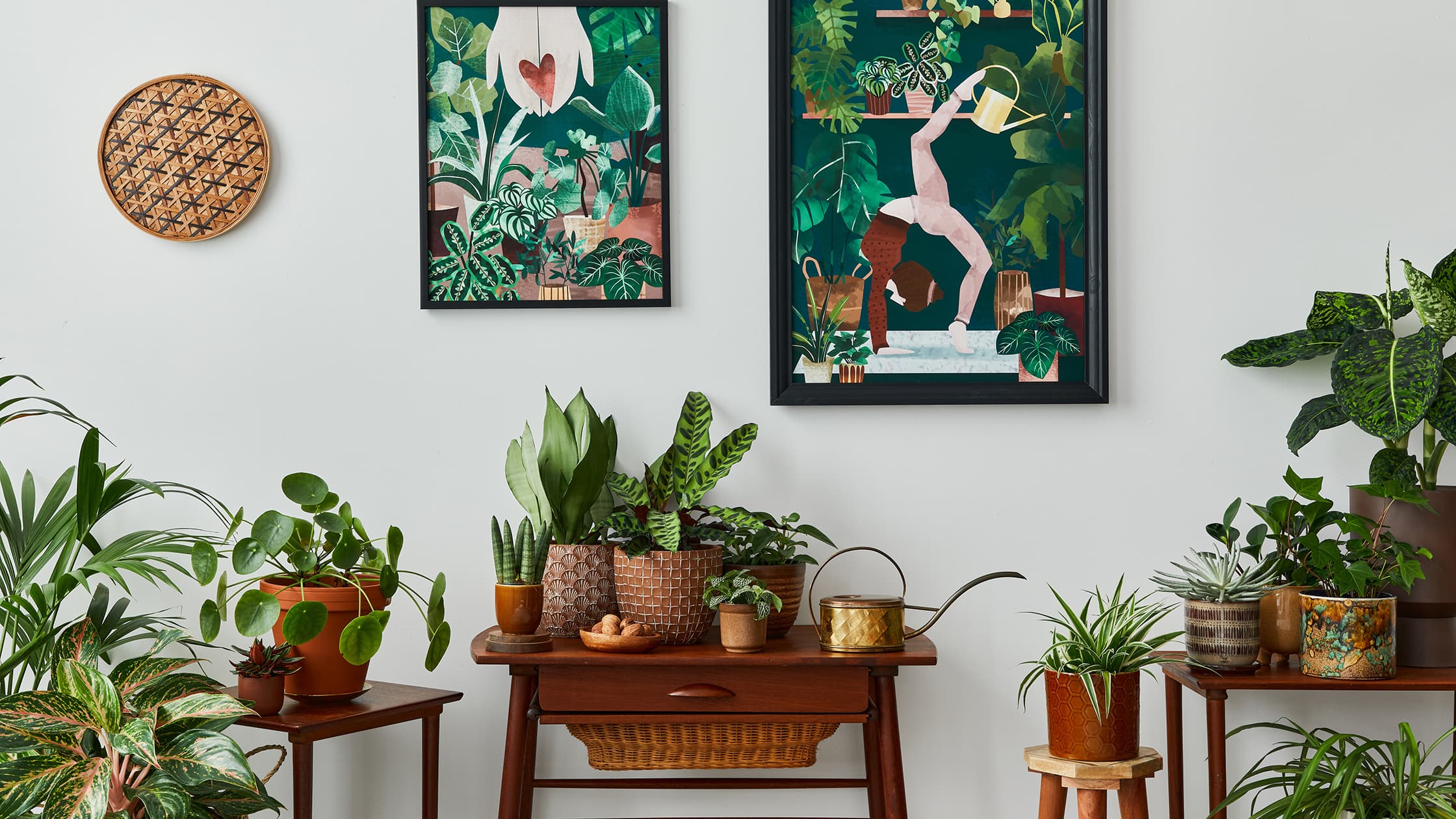 Huonekasvien lannoitusta jatketaan vielä