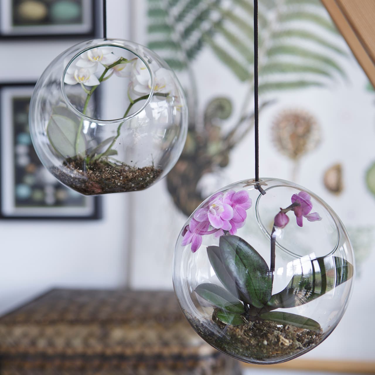 <p data-block-key="zv367">Kasviasetelmat viimeistelevät kodin ilmeen ja toimivat kauniina, elävänä sisustuselementtinä – tyyli ja värit voi sovittaa tilaan ja vuodenaikaan. (Kuva: Floradania)</p>