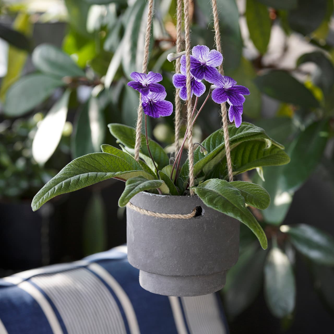 <p data-block-key="8tnm7">Yksi harkittu kasvi tai kasviryhmä voi tuoda huoneen nurkkaan aivan uuden tunnelman – varjopaikastakin saa viihtyisän viherkeitaan valon avulla. (Kuva: Floradania)</p>