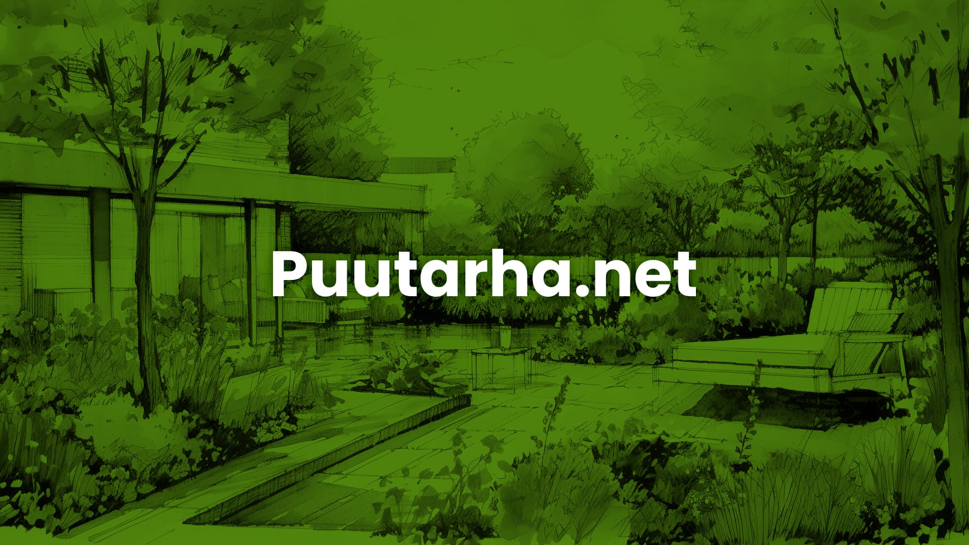 Sipulikukkien kastelu ja lannoitus