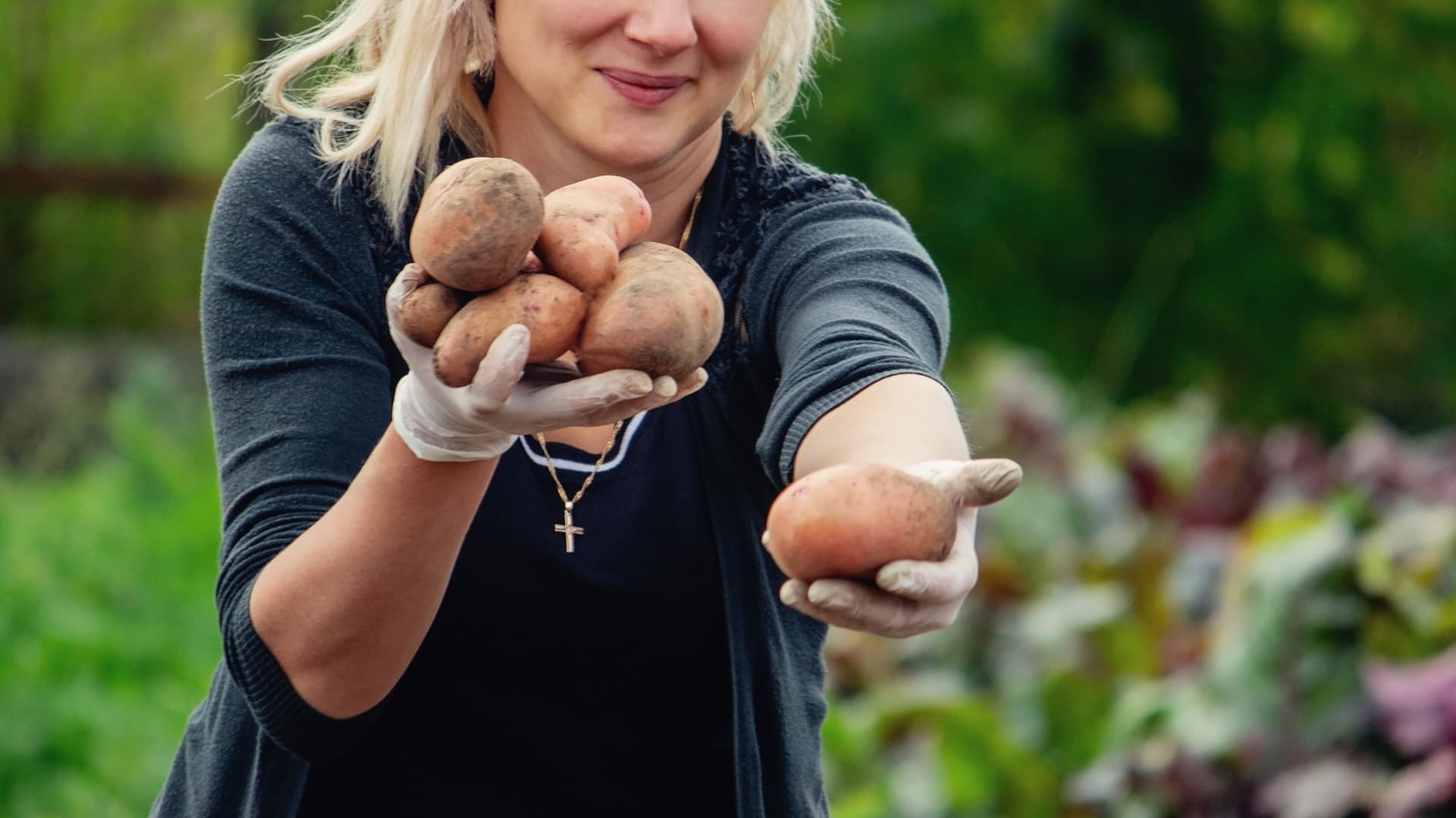 Peruna – puutarhan moniottelija