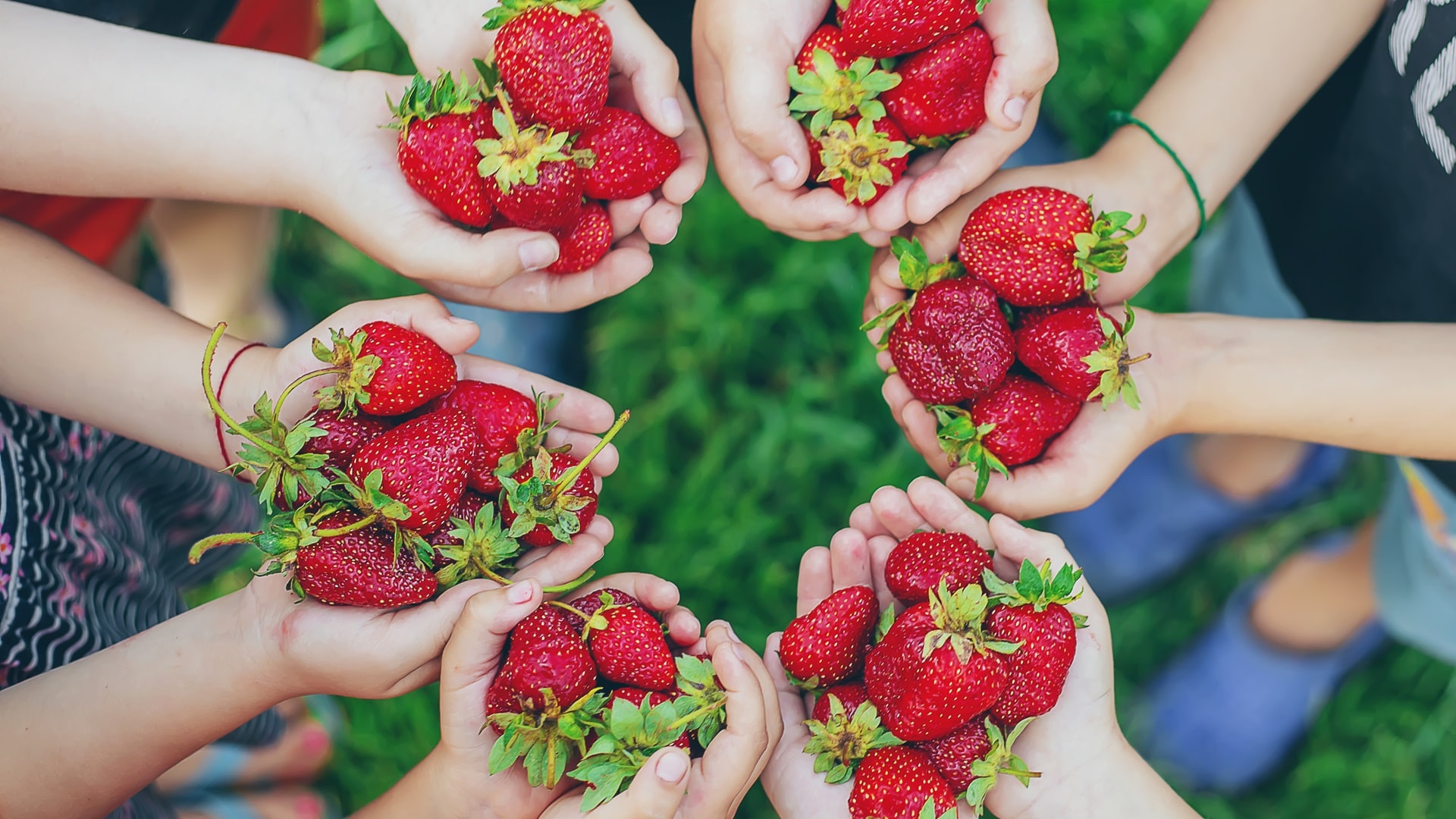 food-2024-12-19-14-38-59-utc