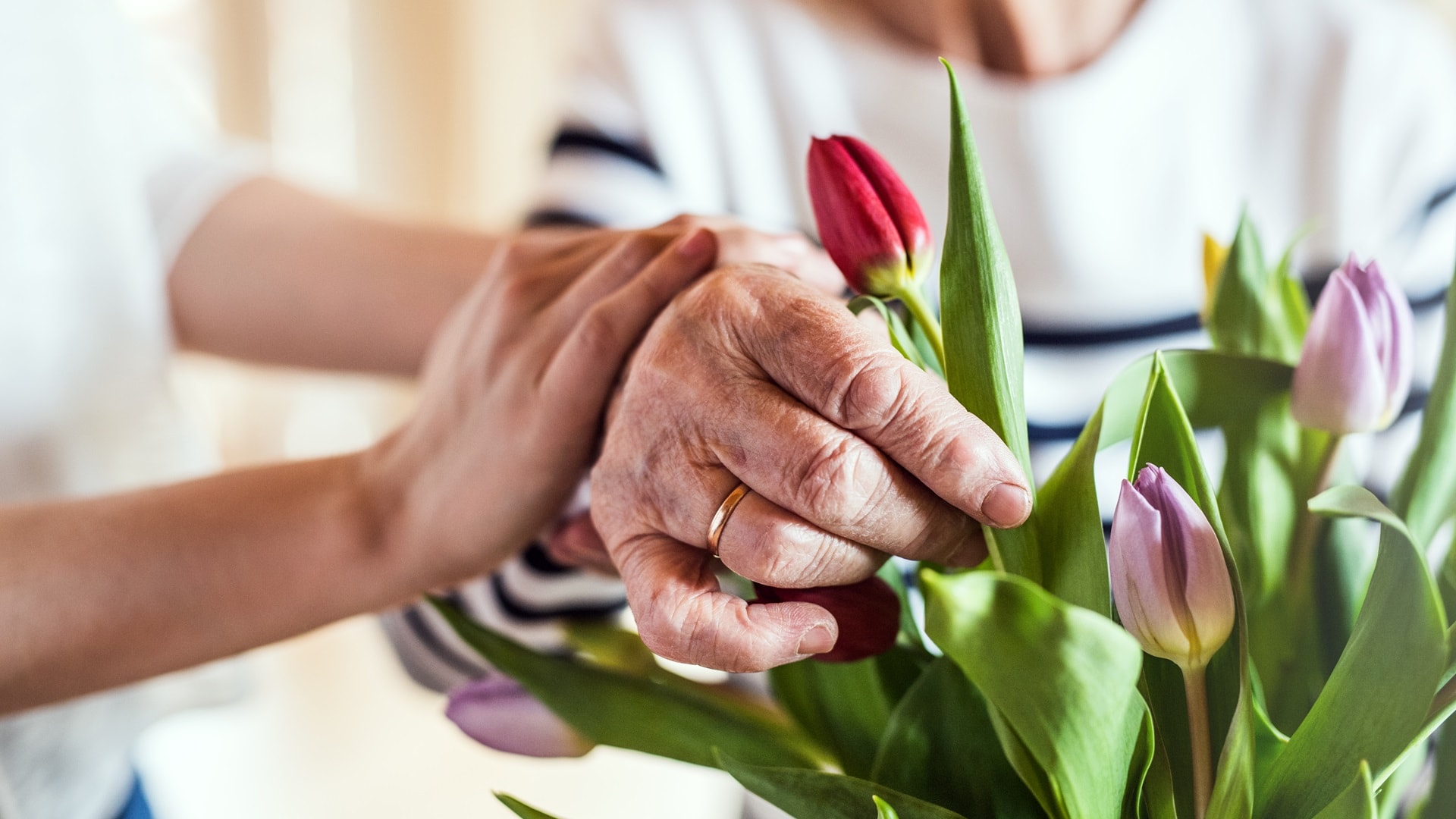 hands-of-an-old-and-young-woman-putting-flowers-in-2024-10-18-11-42-14-utc