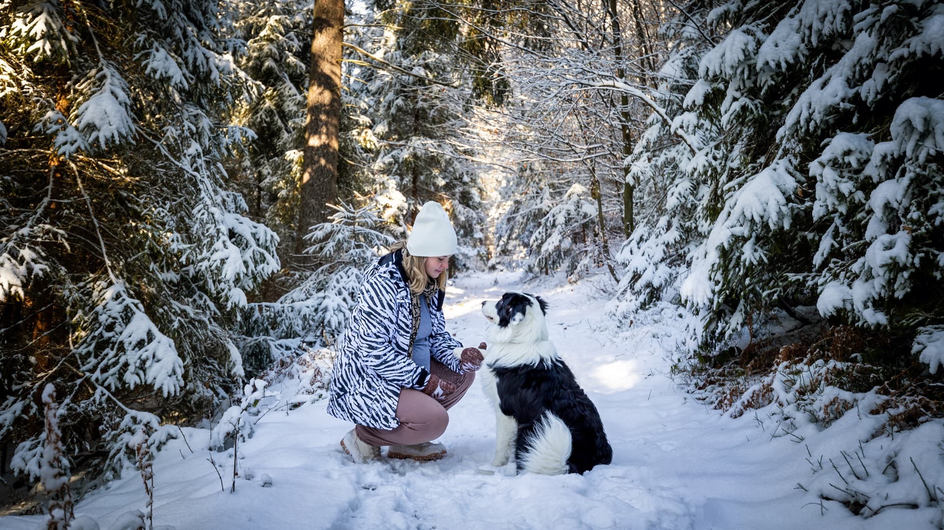 inkkuwinter-walk-with-dog-in-the-snowy-forest-2024-10-31-01-12-29-utc.jpg