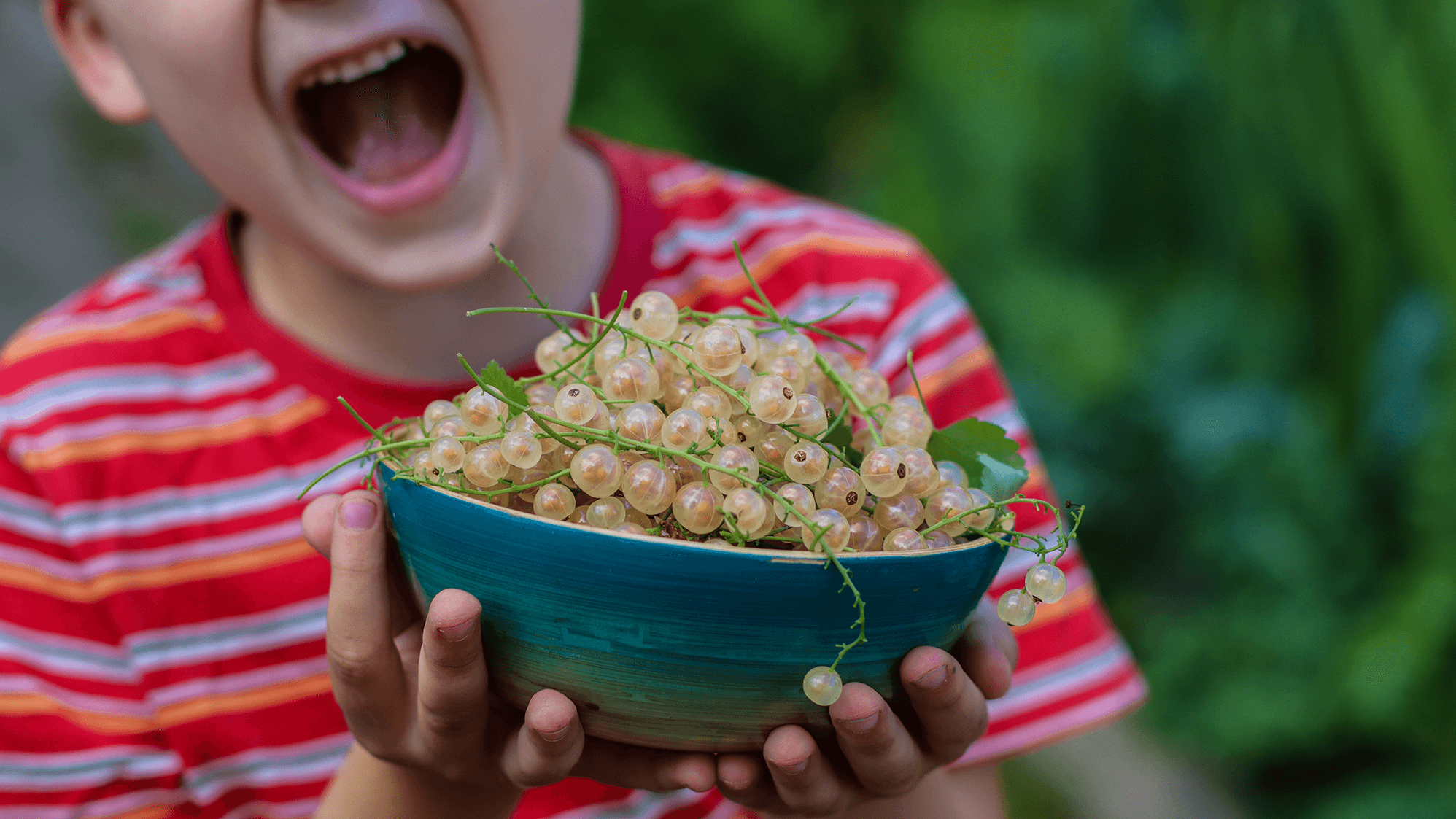 <p data-block-key="zotl8">Nyt on oikea aika istuttaa tuleva sato! (Kuva: Suomen Puutarhakauppiaat ry)</p>