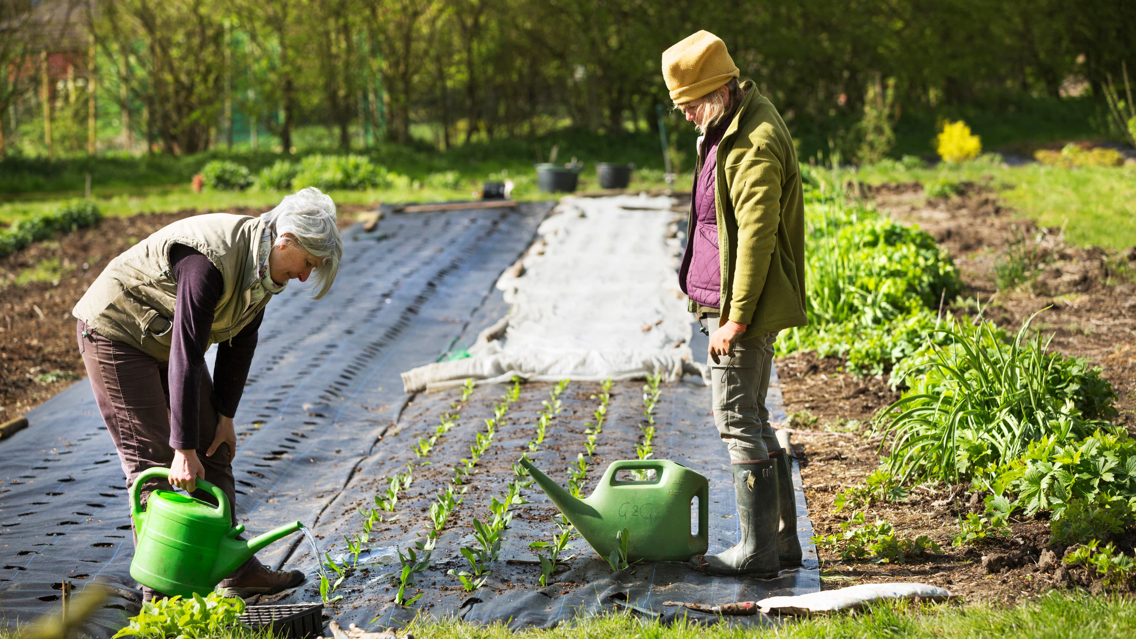 Hyvän sadon salaisuus on huolellinen pohjatyö