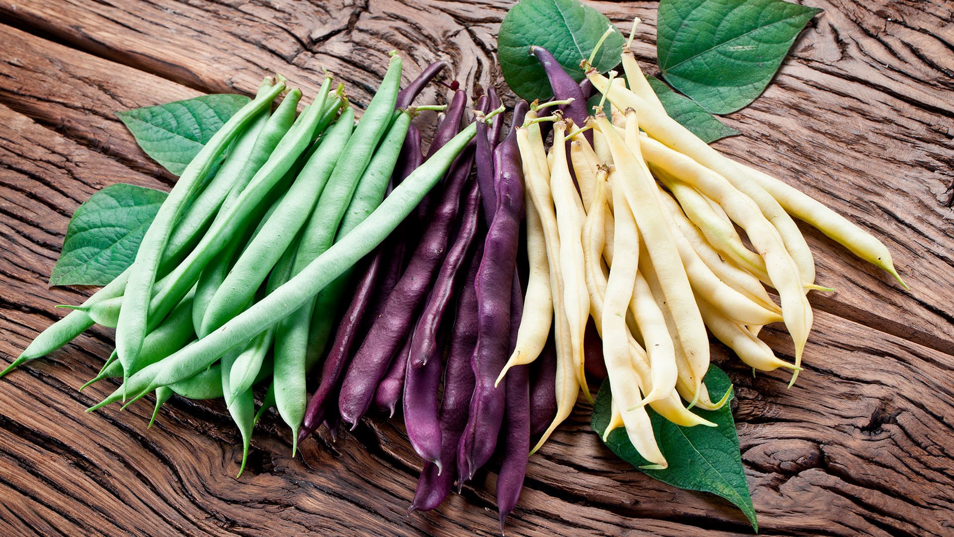 Alkusyksyn makunautinto: Kotimaiset pensaspavut ovat parhaimmillaan