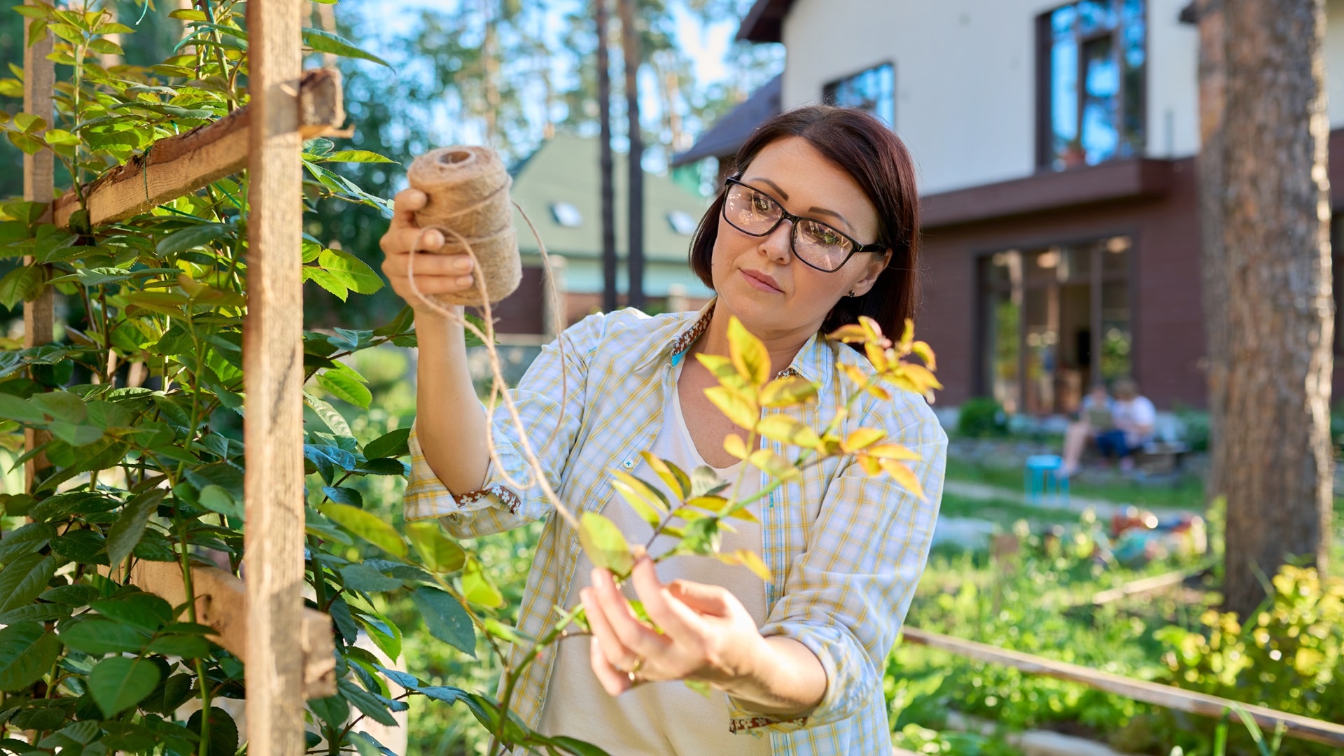 muokwoman-caring-for-a-climbing-rose-bush-tying-branc