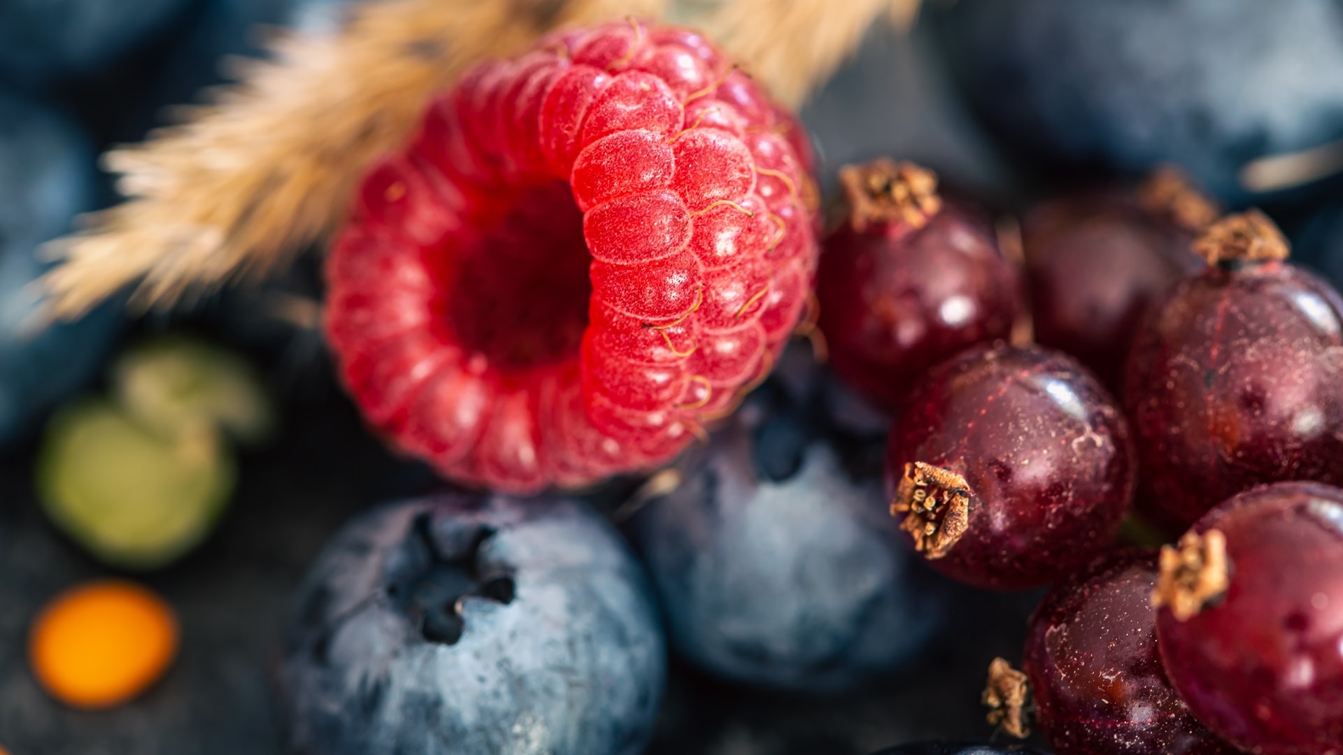natural-background-with-different-wild-berries-ma