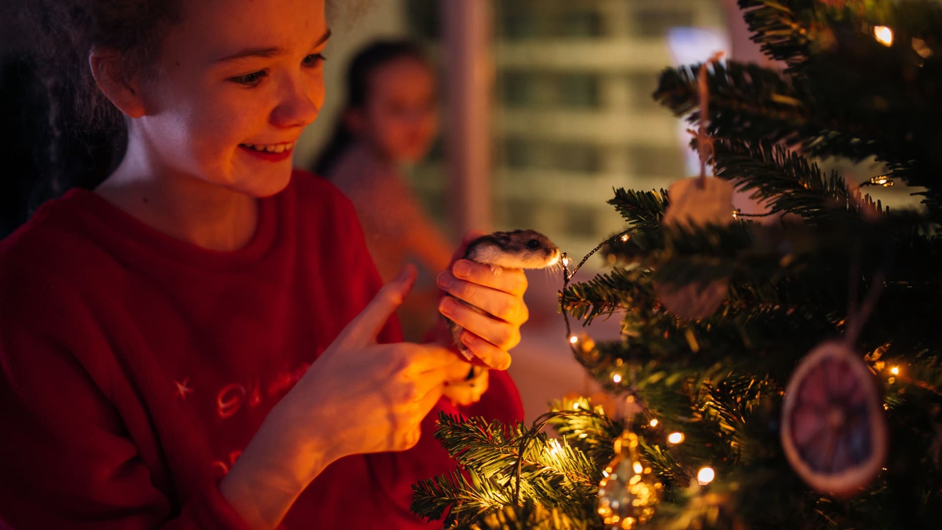 Kierrätä ja lajittele oikein joulunakin