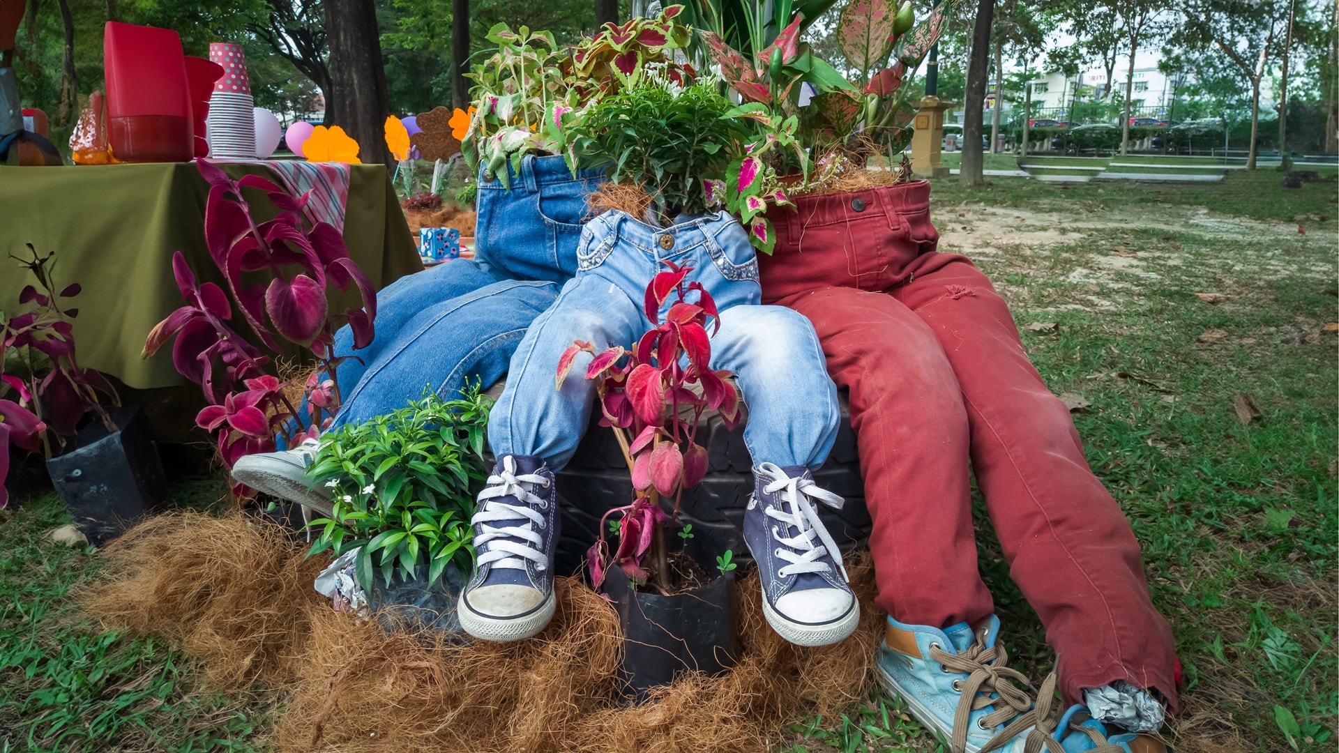 recycling-in-the-garden-old-jeans-became-flower-p-2025-03-07-14-23-36-utc