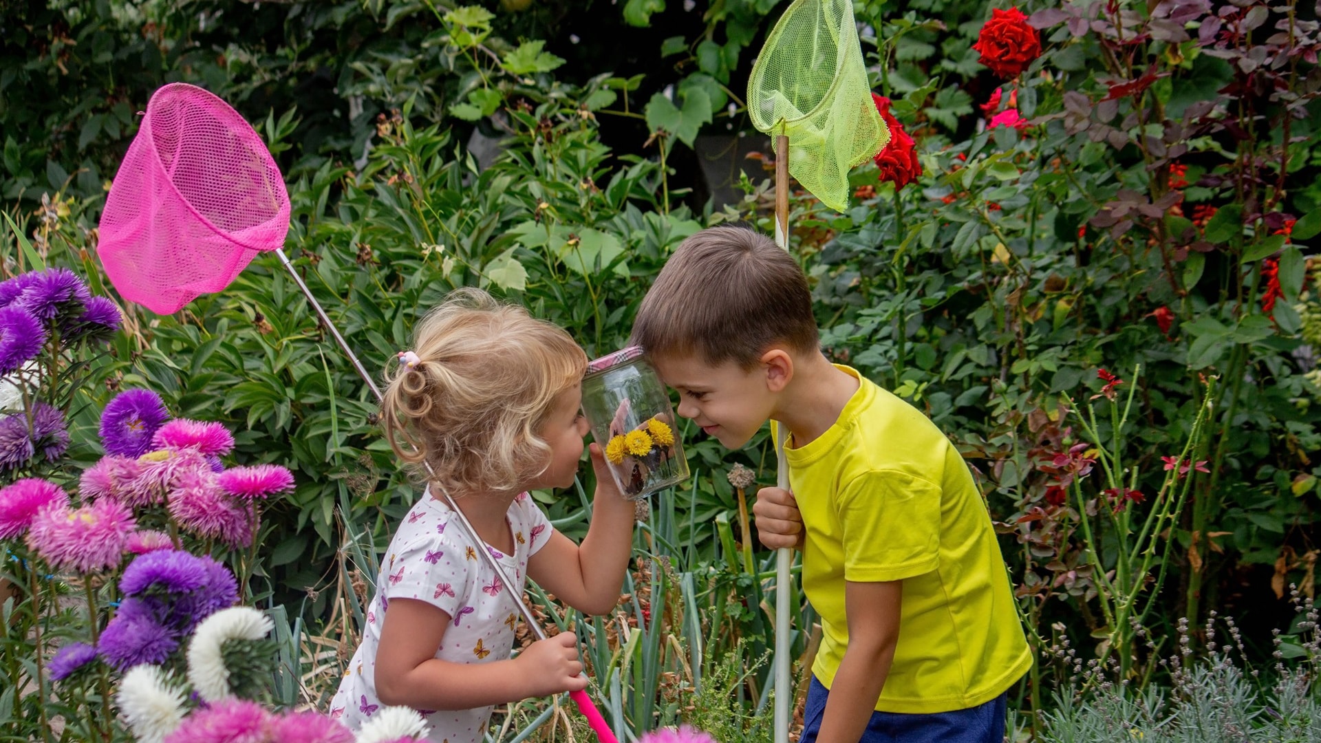 two-happy-children-catch-and-admire-butterflies-2024-04-17-19-24-59-utc