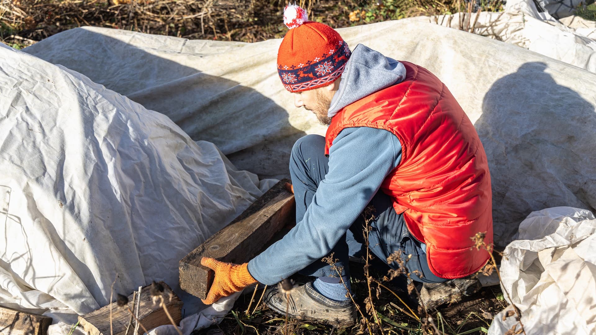 Suojaa kasvisi pakkaselta ja tuholaisilta – näin onnistut kotipuutarhassa