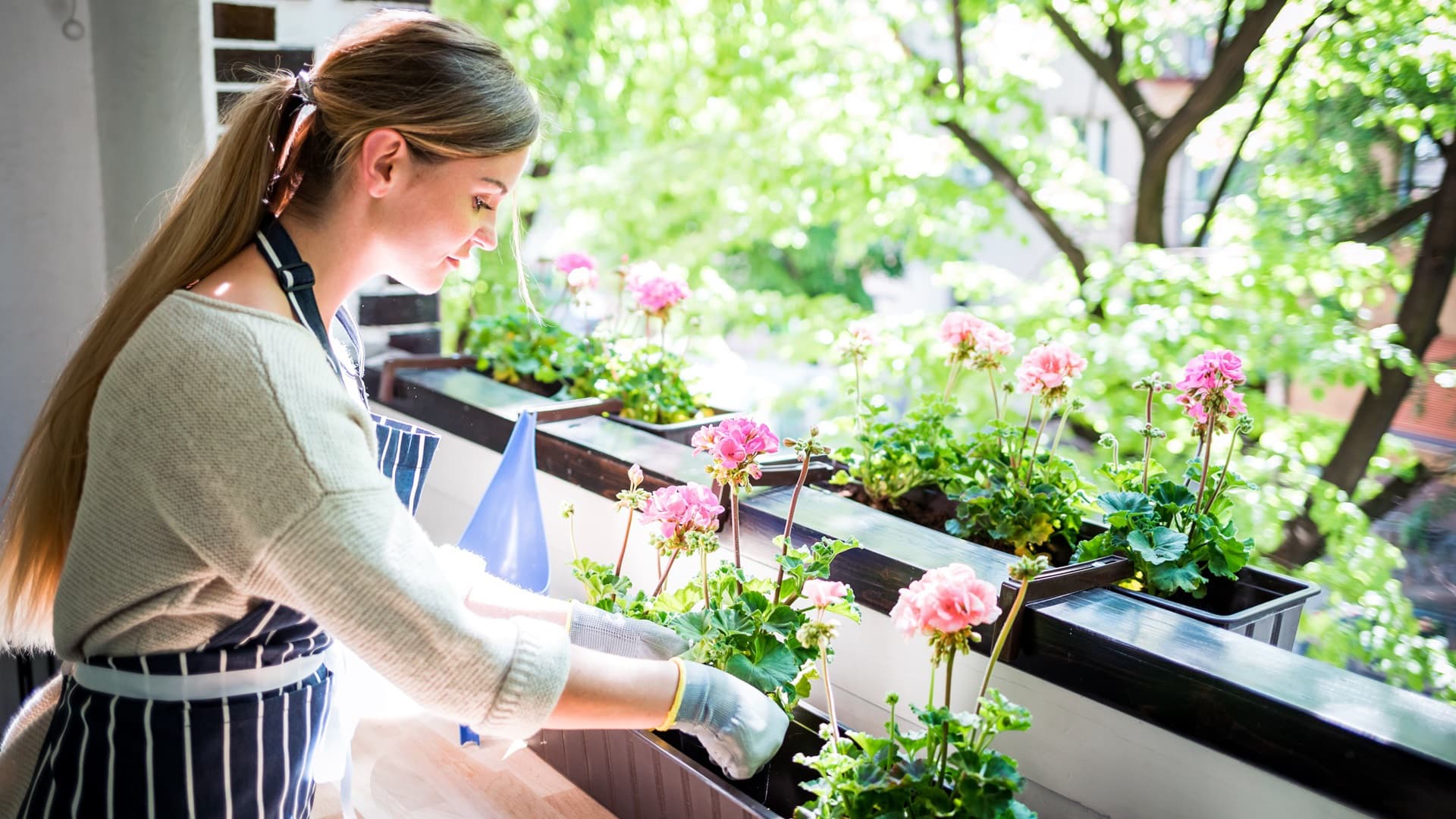 Paljon kysyttävää parvekekasvatuksesta