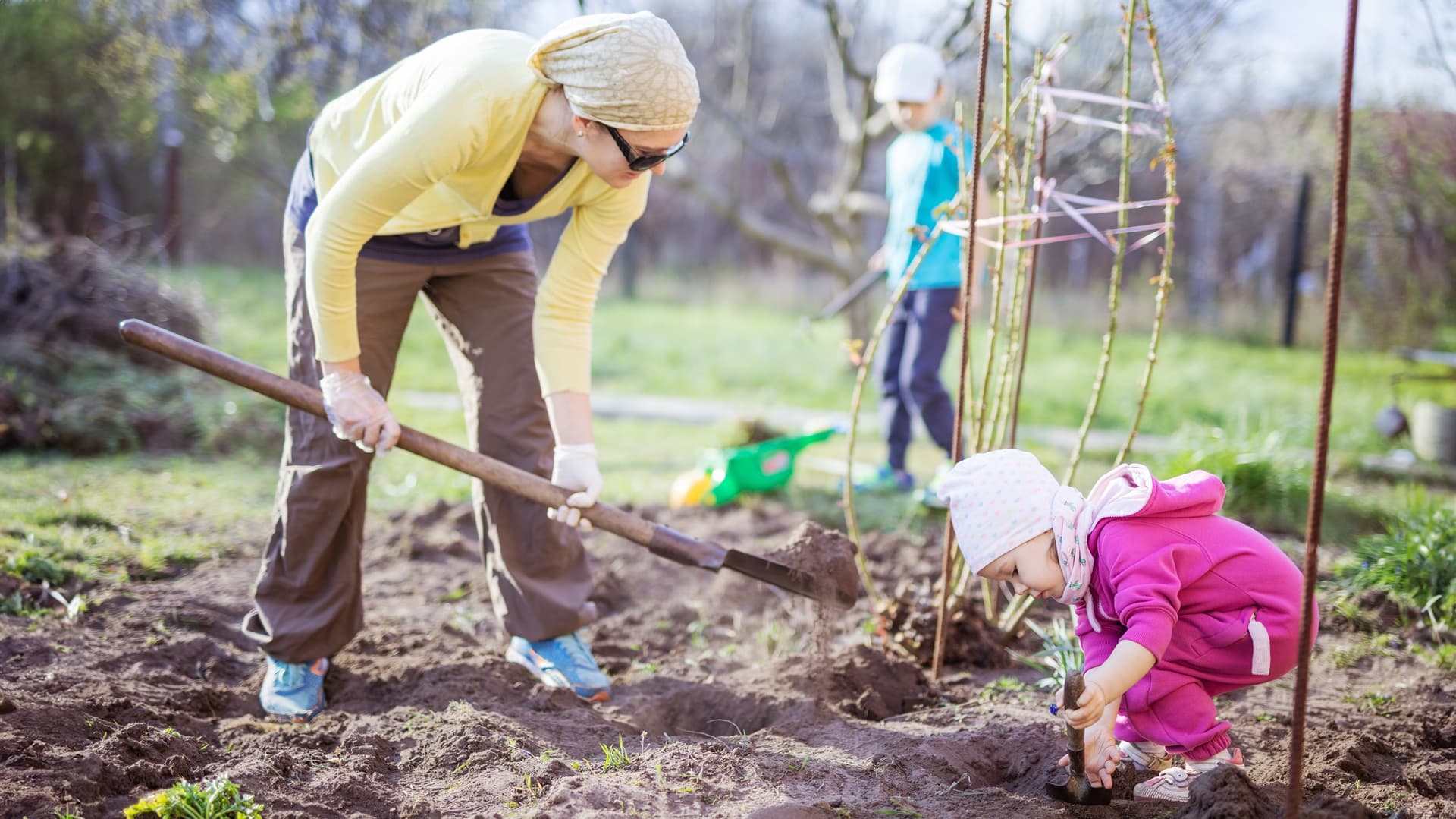 Puutarhakevät alkaa ajoissa – näin valmistelet pihan uuteen kasvukauteen