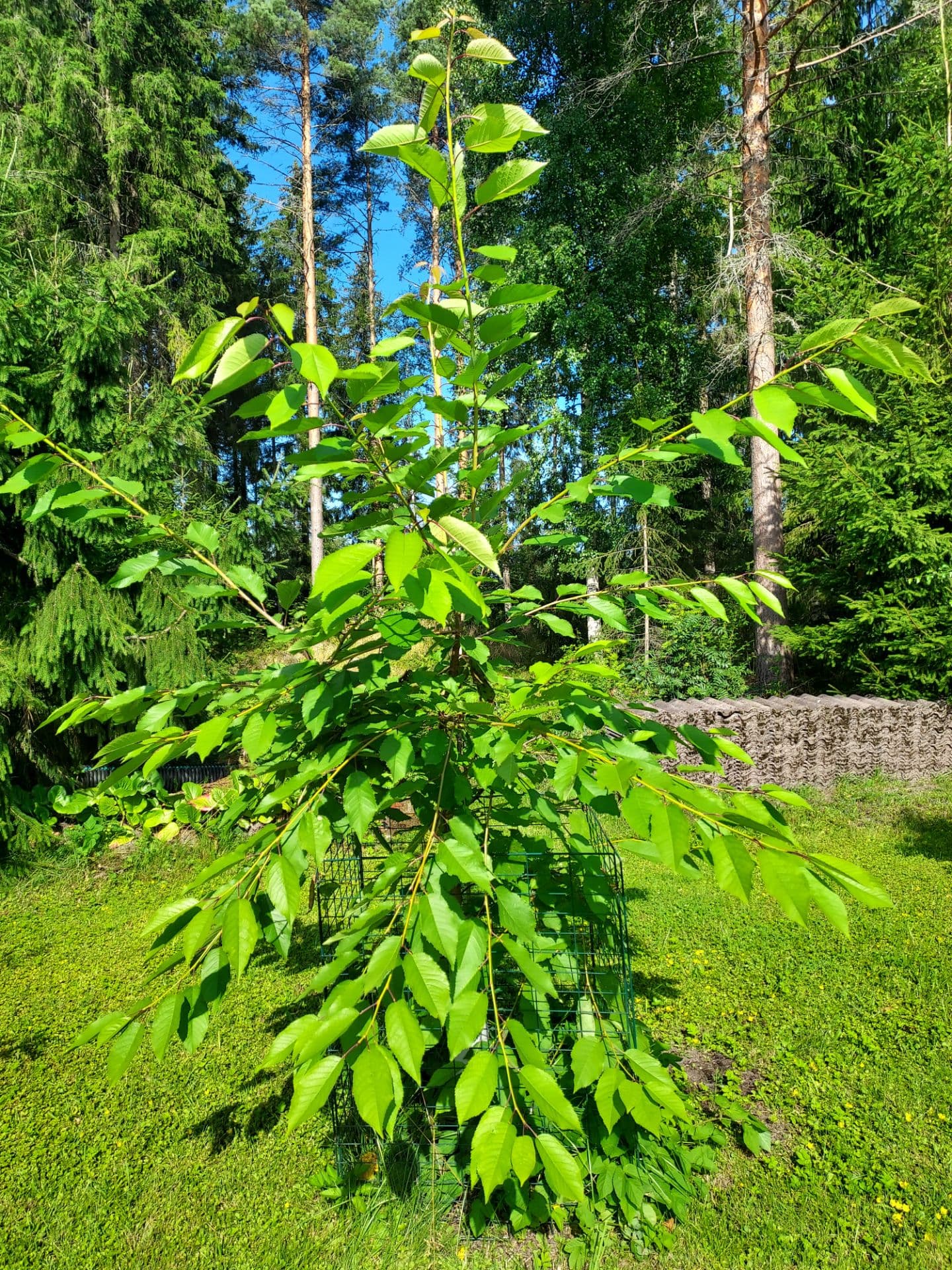 20260731_095935.jpg